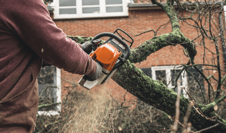 Abbsolute Tree Service